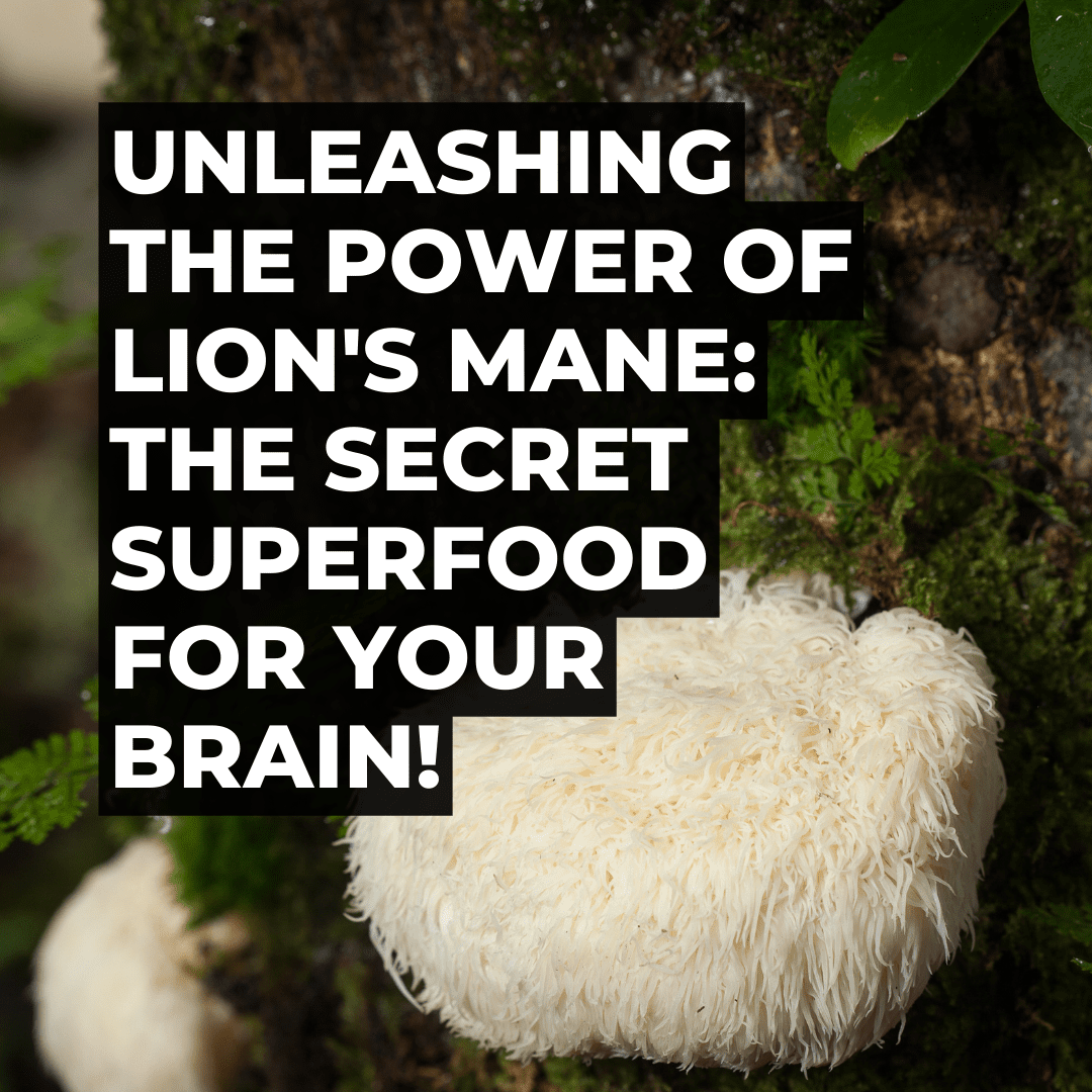 Unleash the Power of Lion's Mane: The Secret Superfood for Your Brain!